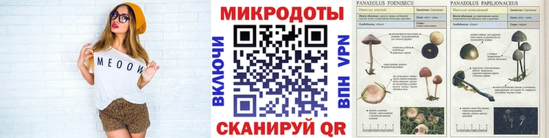 Галлюциногенные грибы MAGIC MUSHROOMS  хочу наркоту  Лукоянов 